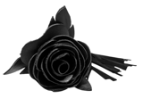 Изображение BDSM Арсенал Плеть чёрная роза с замшевыми хвостами