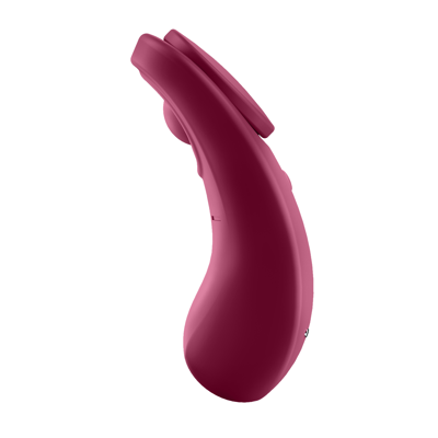 Вибратор Satisfyer Sexy Secret Connect App